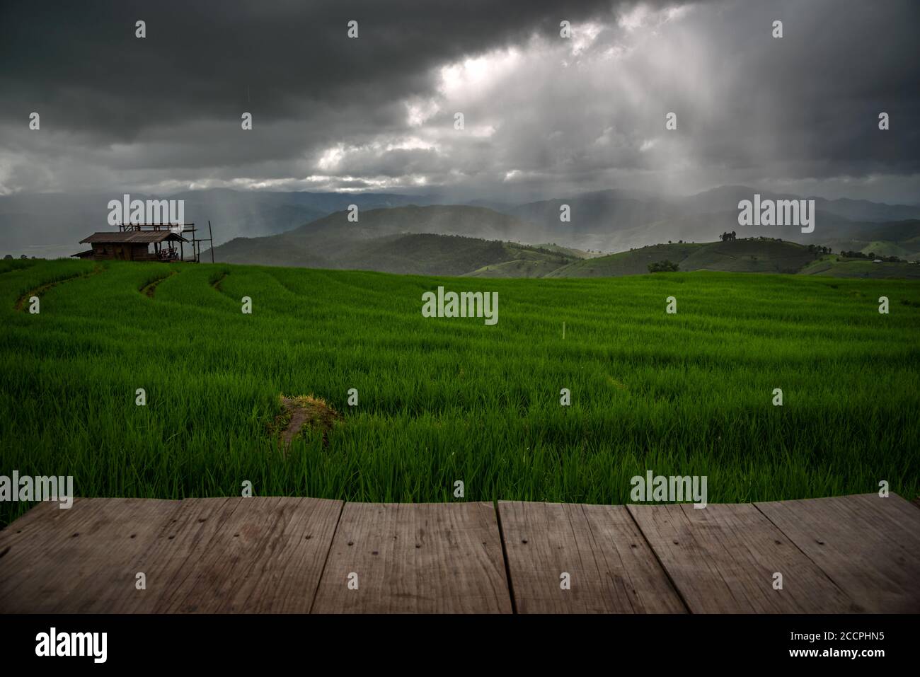 Il bellissimo scenario del campo di riso terrazzato verde con raggi di luce mentre piove alla foresta di Bong Piang nella stagione delle piogge in Mae Chaem, Chiang mai Foto Stock