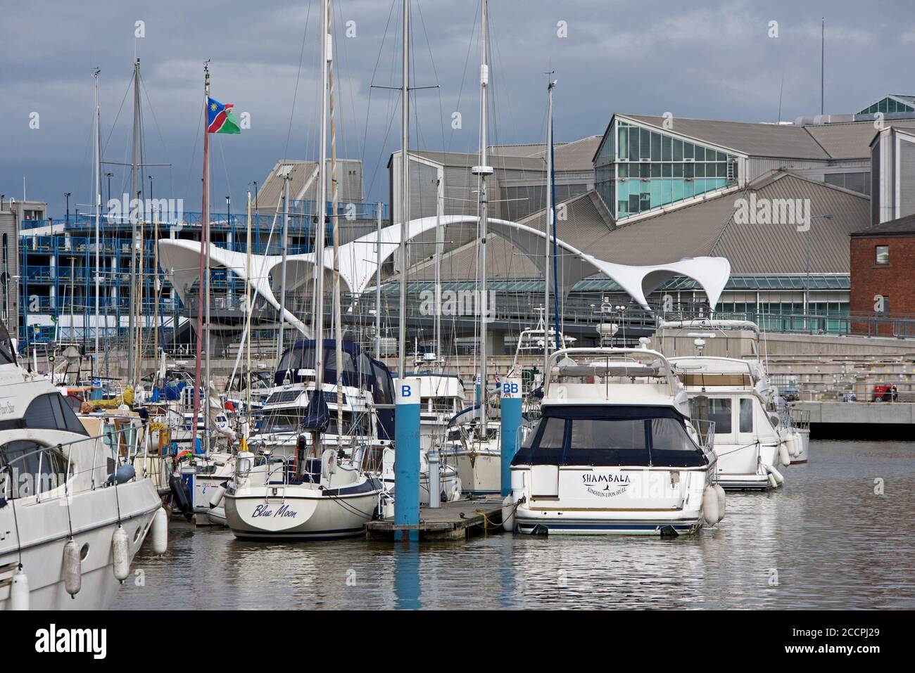 La marina e il nuovo ponte pedonale (incompiuto), a Hull, Humberside, East Yorkshire, Inghilterra Regno Unito Foto Stock