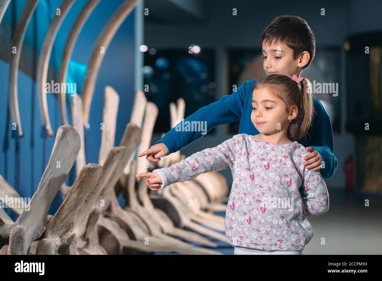 I bambini guardano lo scheletro di un'antica balena nel Museo di paleontologia. Foto Stock
