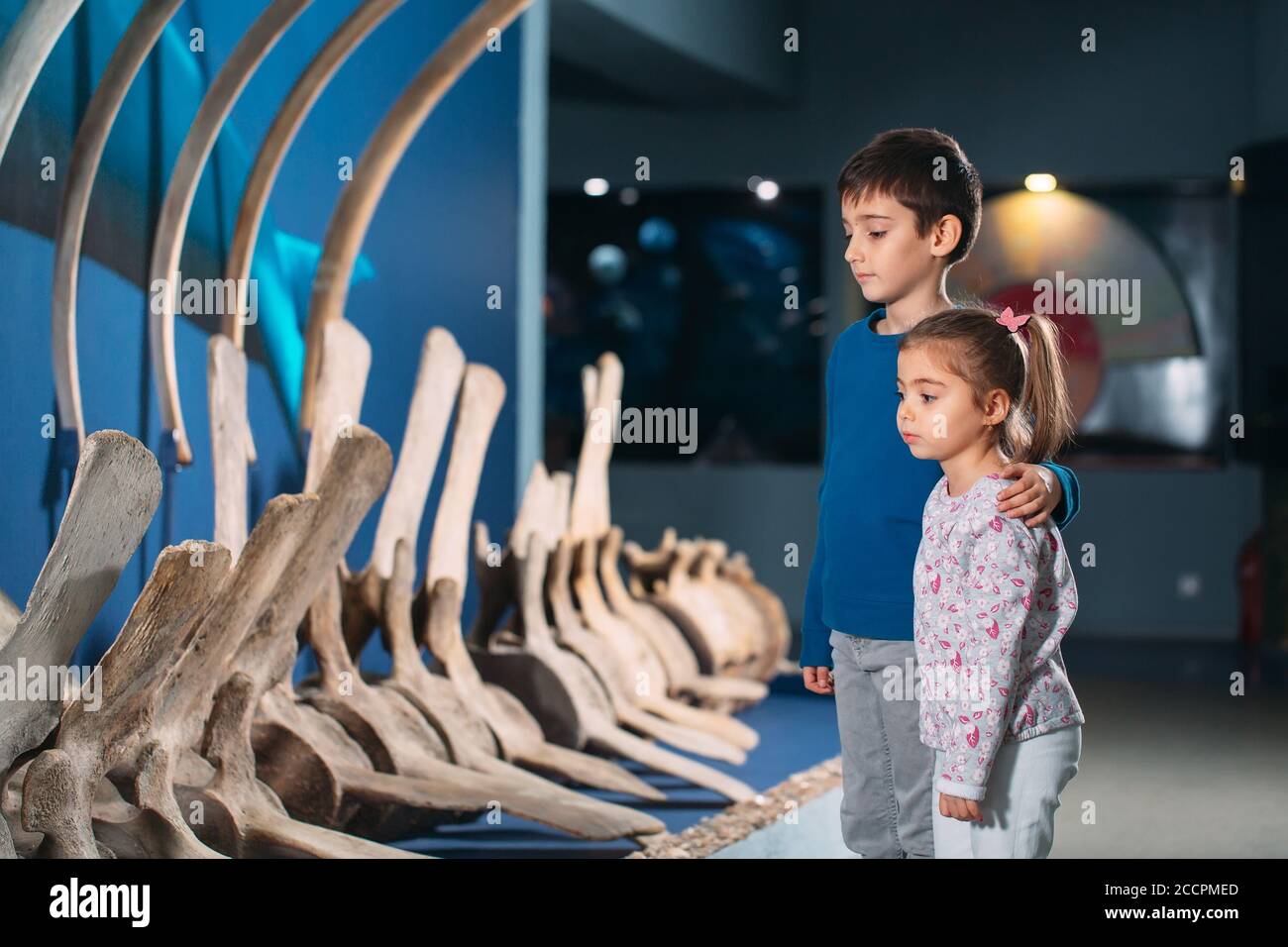 I bambini guardano lo scheletro di un'antica balena nel Museo di paleontologia. Foto Stock