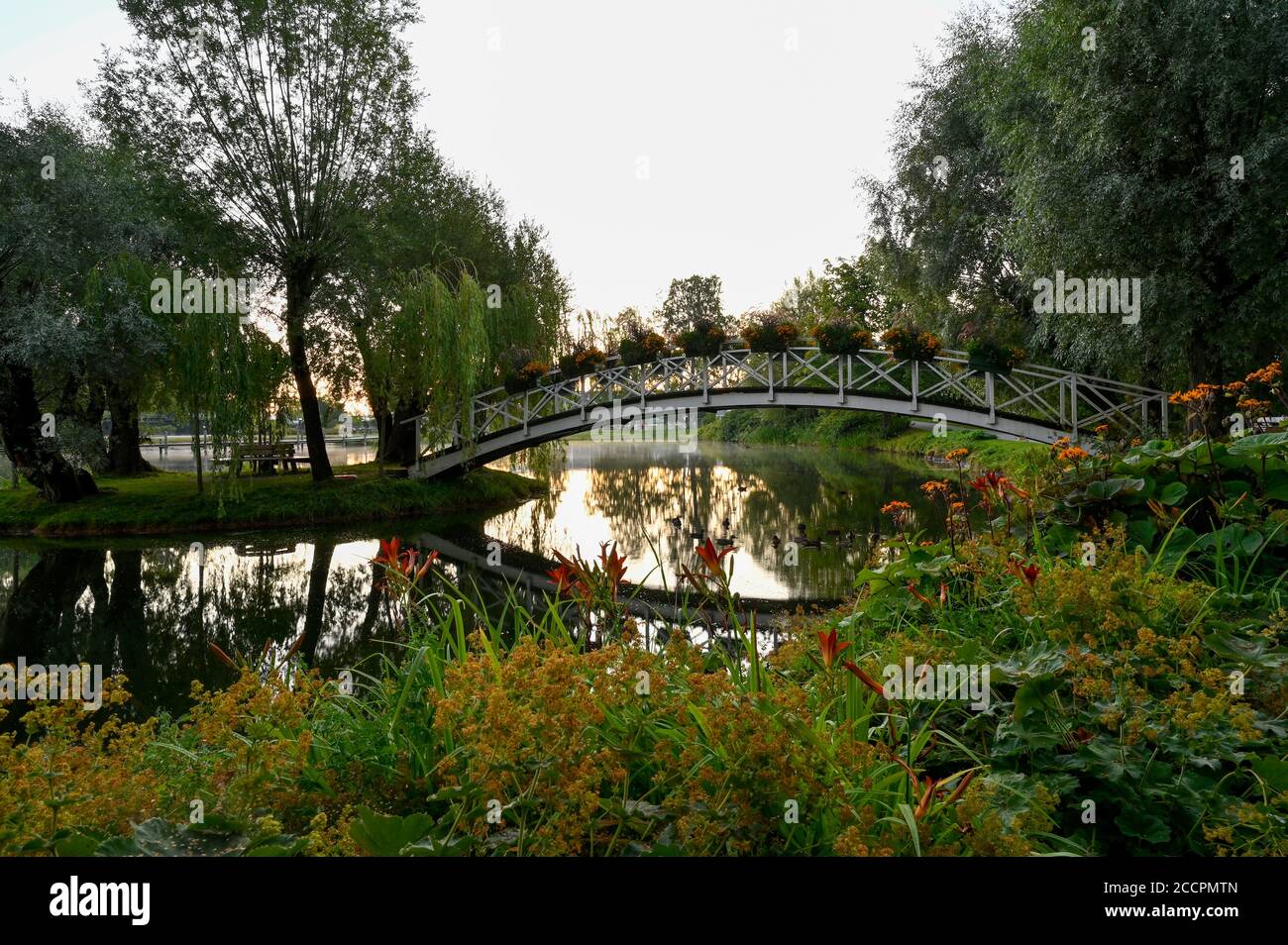 ponte di legno sull'acqua nel bellissimo parco Foto Stock