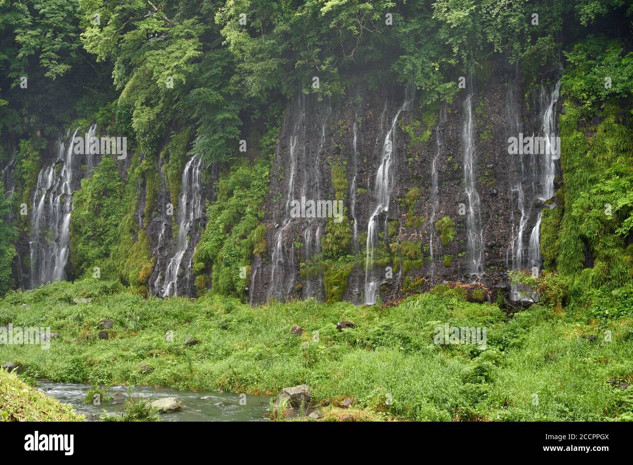 Sottili ruscelli bianchi che assomigliano a fili sospesi di seta. Le Cascate di Shiraito in Giappone. Foto Stock