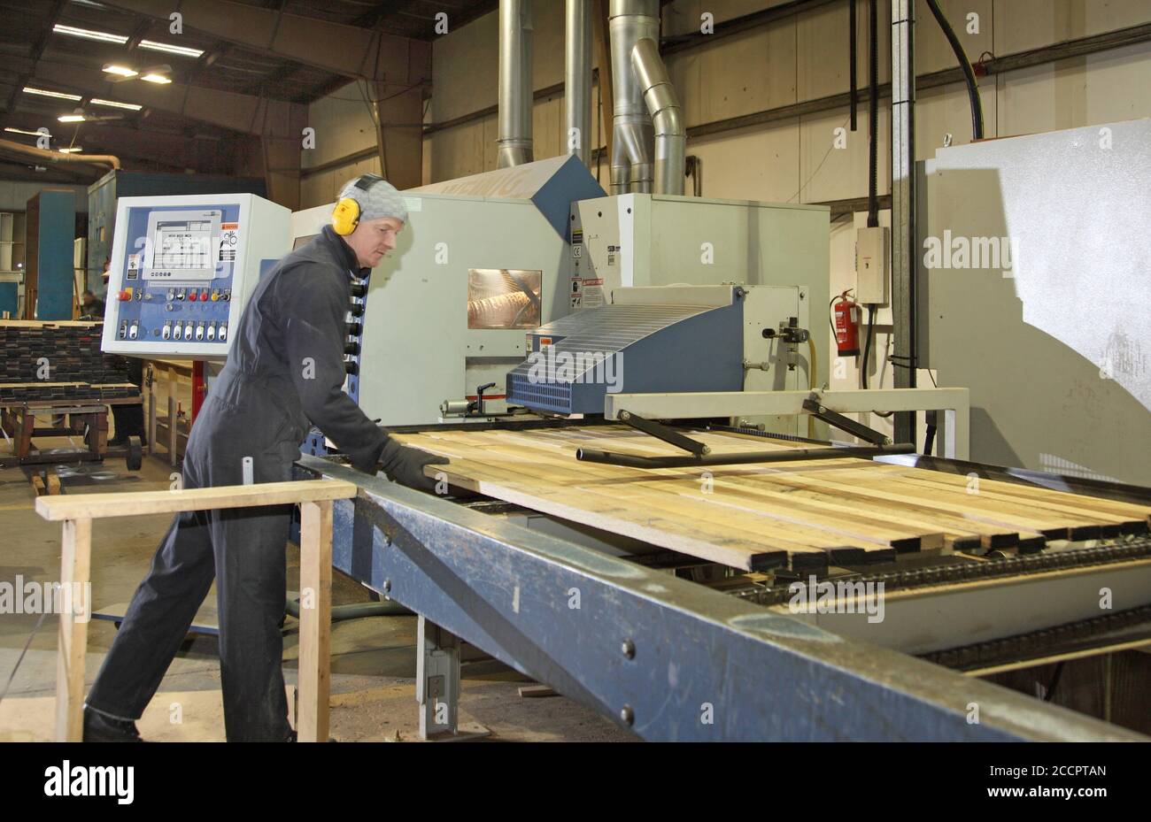 Un lavoratore prepara listelli di legno per una macchina di piallatura e stampaggio controllata da computer in una fabbrica di Falegnameria britannica. Foto Stock