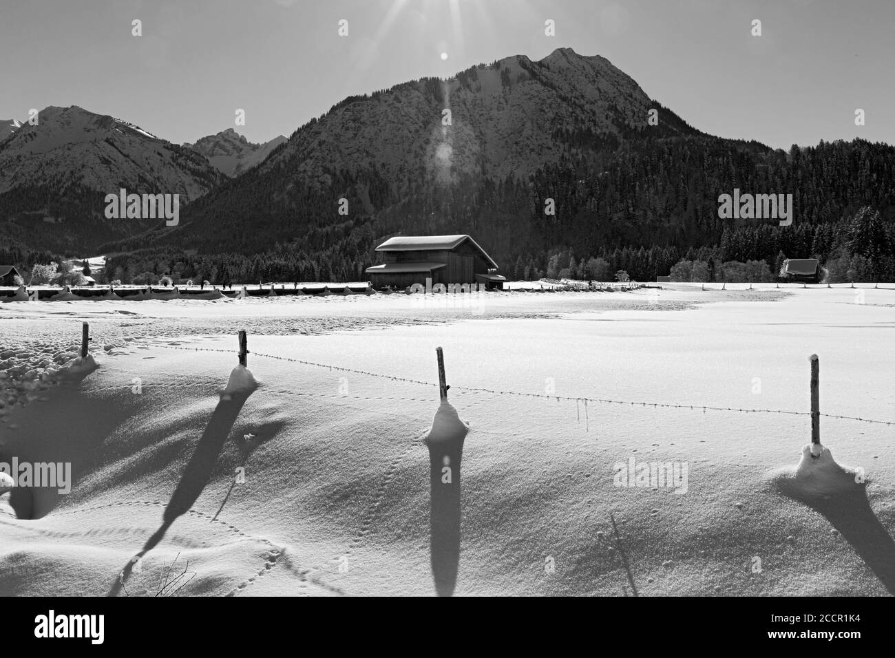 Winterlandschaft, Oberstdorf; Allgäu Foto Stock