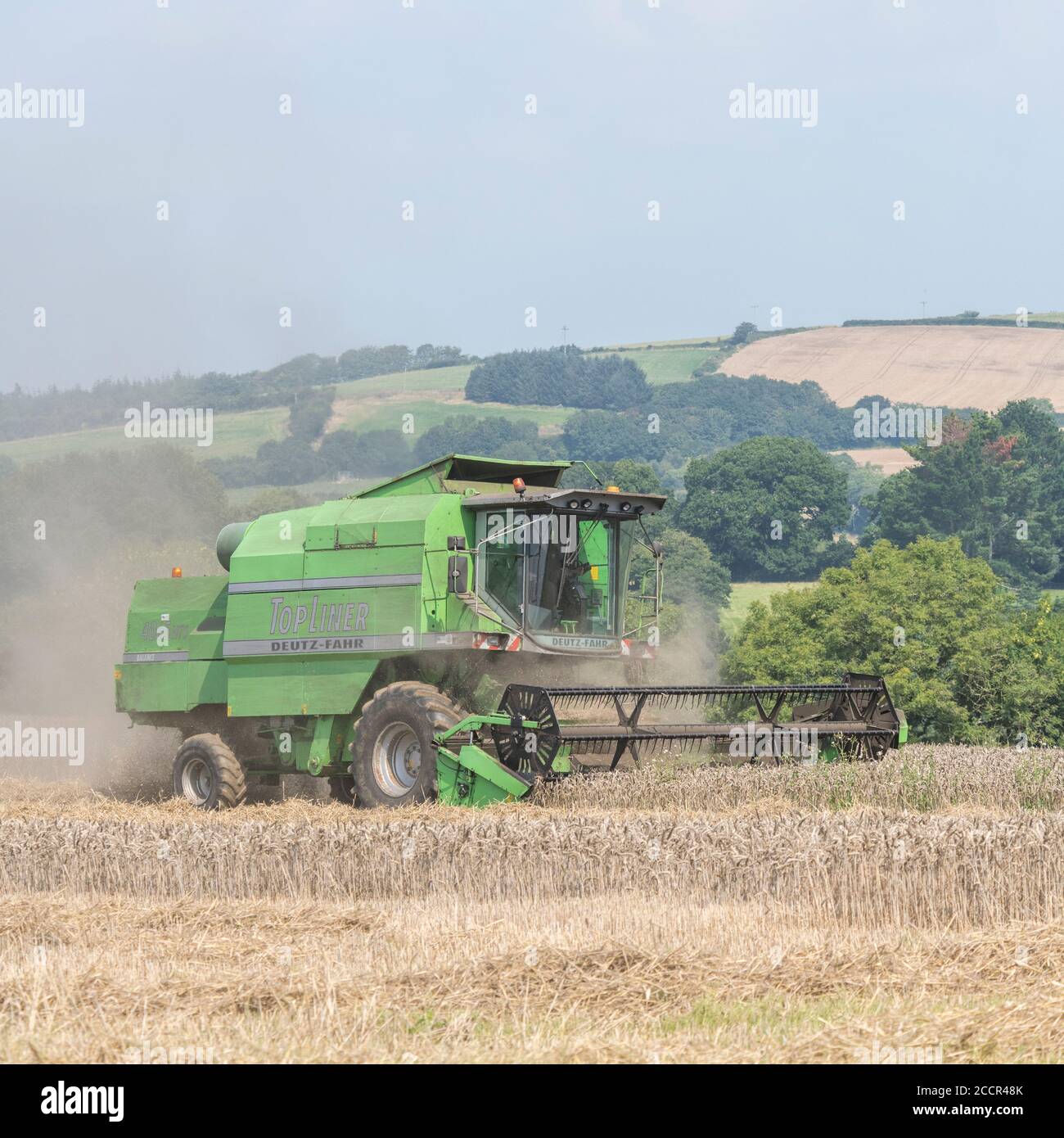 Mietitrebbia Deutz-Fahr 4065 che taglia il raccolto di grano 2020 nel Regno Unito nelle giornate estive calde e riempie l'aria di polvere. Aspo a denti e cabina operatore visibili. Vedere LE NOTE. Foto Stock