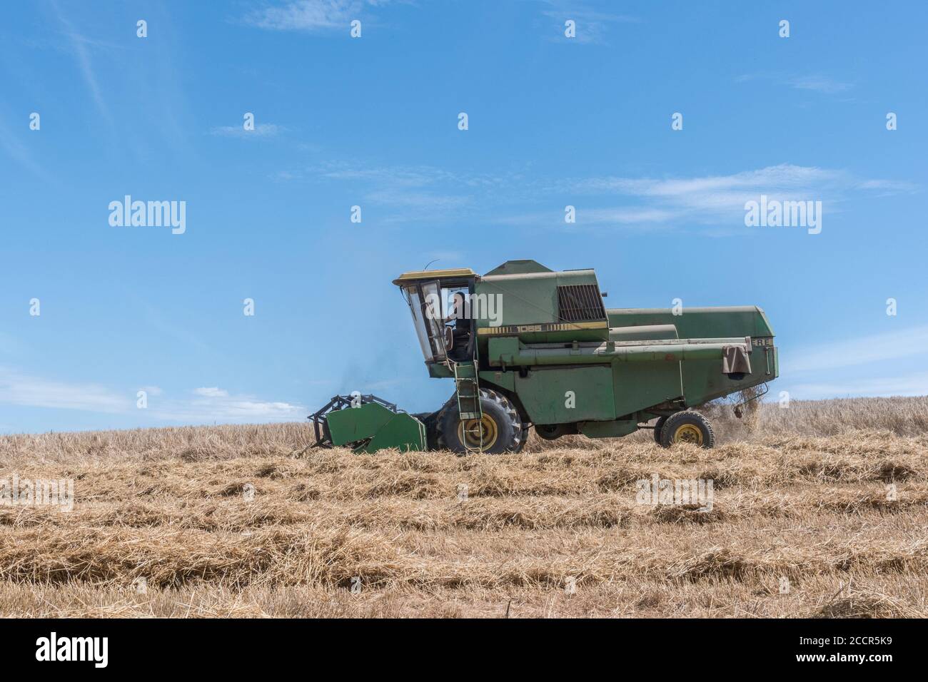 Mietitrebbia John Deere che taglia il raccolto di grano sotto il sole estivo. Testata anteriore, aspo a denti, tubo laterale e scuotipaglia visibili. Per la raccolta del grano del Regno Unito 2020. Foto Stock