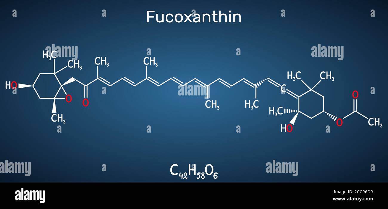 Fucoxantina, C42H58O6, molecola di xantofilla. Ha proprietà antitumorali, antidiabetiche, antiossidanti, neuroprotettive. Formula chimica strutturale Illustrazione Vettoriale