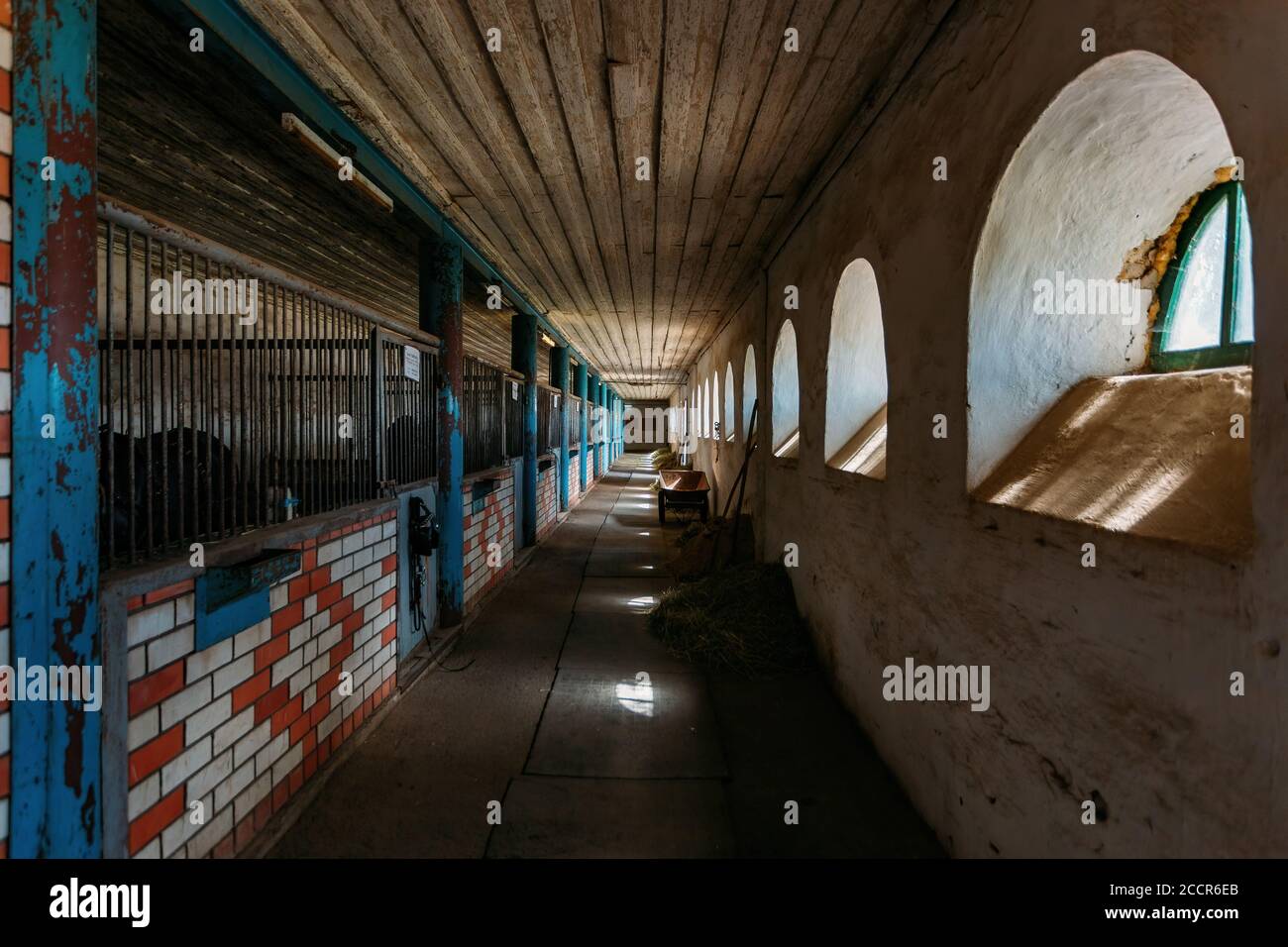 Vecchia scuderia storica con box di cavalli sciolti, vista sul tunnel Foto Stock