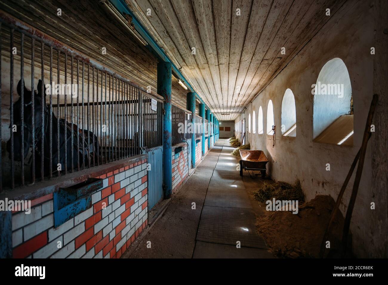 Vecchia scuderia storica con box di cavalli sciolti, vista sul tunnel Foto Stock