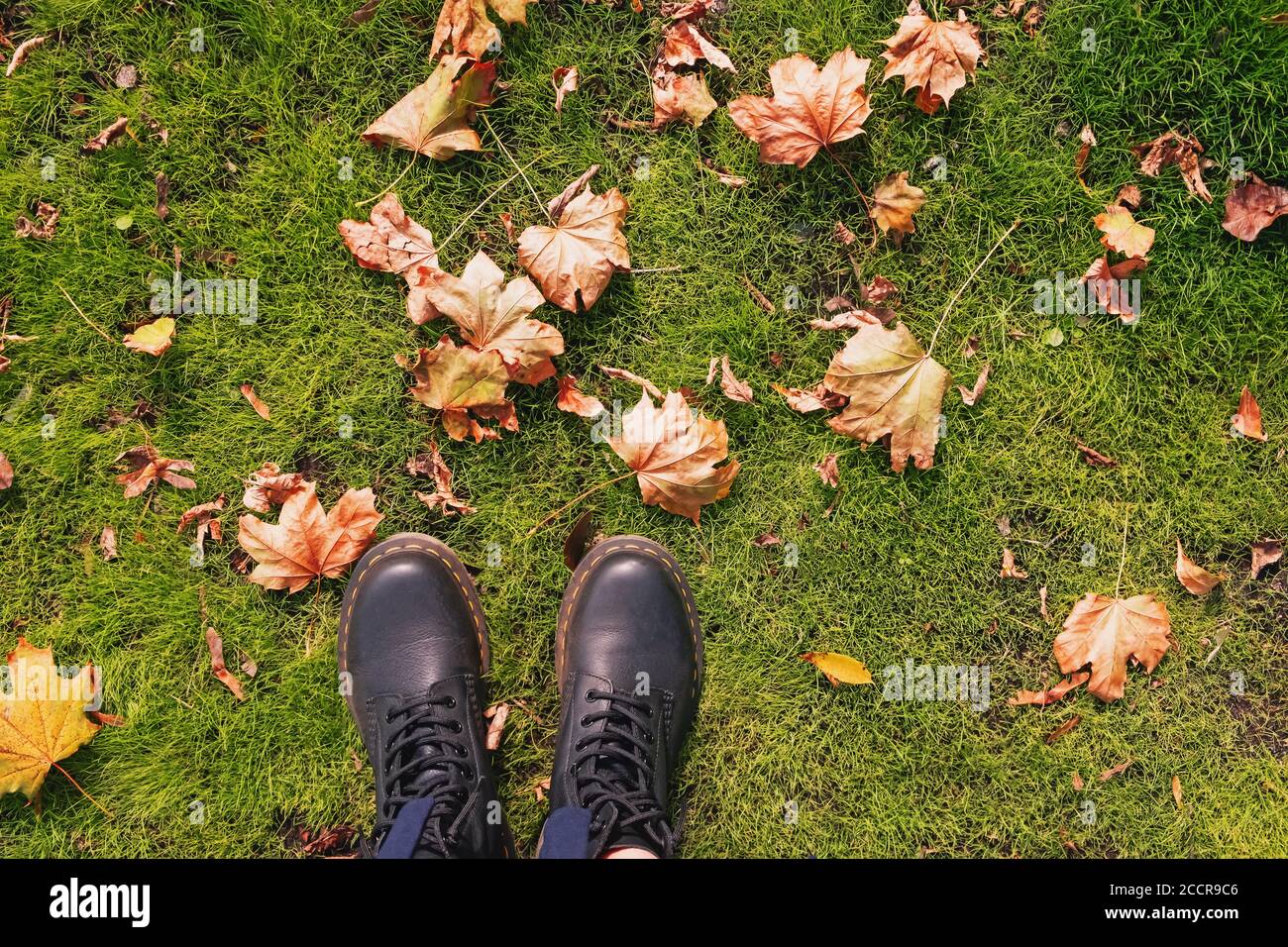 Piedi femminili in stivali in pelle su erba verde con foglie gialle secche, vista dall'alto Foto Stock