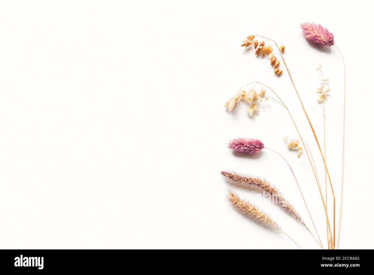 Sfondo autunno di orecchie mature. Foto Stock