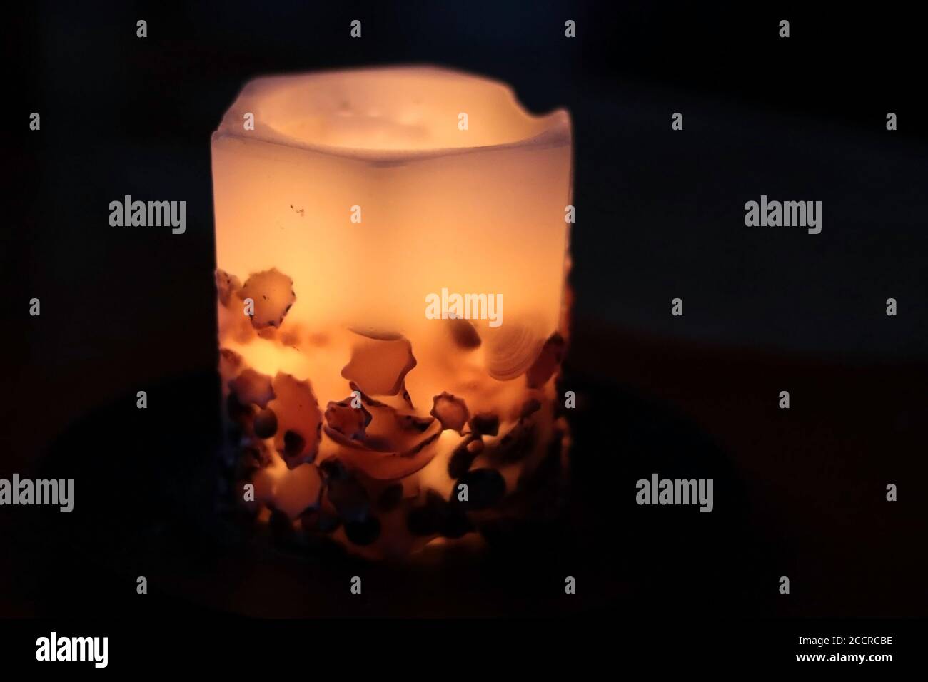 candela - dettaglio - conchiglie in cera, illuminate dalla luce, al buio Foto Stock