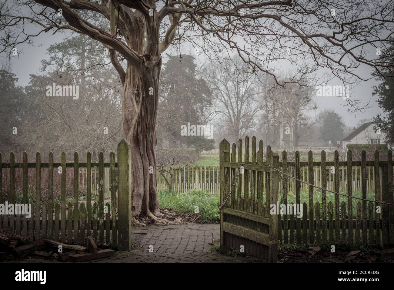 A casa del tessitore, Colonial Williamsburg, Virginia Foto Stock