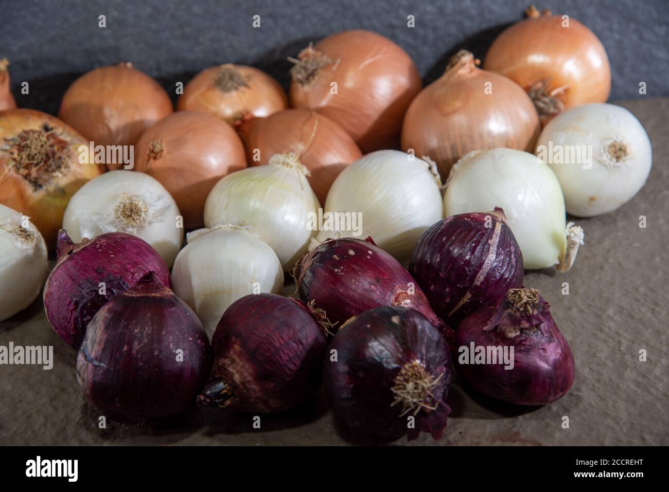 La cipolla è il nome popolare della pianta il cui nome scientifico è Allium cepa. Condimento per condimenti. Ingrediente culinario. Cibo umano. Cipolle fresche. Foto Stock