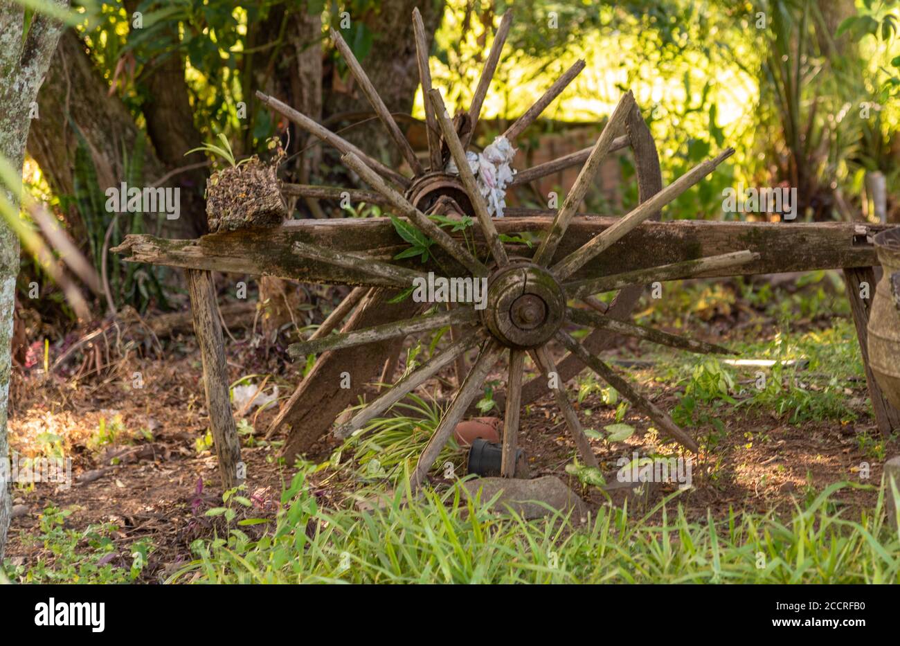 Giardino esterno. Il giardino è un luogo rilassante all'interno del residence. Oggetti antichi e decorativi. Carrello e teglia da stiro. Progettazione paesaggistica Foto Stock