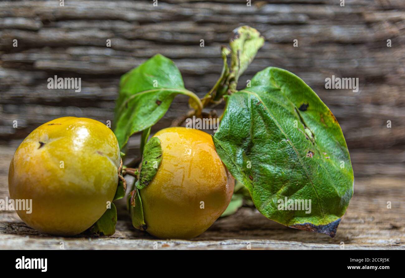 Frutto del persimmon (Diospyrus kaki L.). L'albero del persimmon è cresciuto principalmente negli stati di São Paulo, Rio Grande do sul, Paraná e Minas Gerais, con S Foto Stock