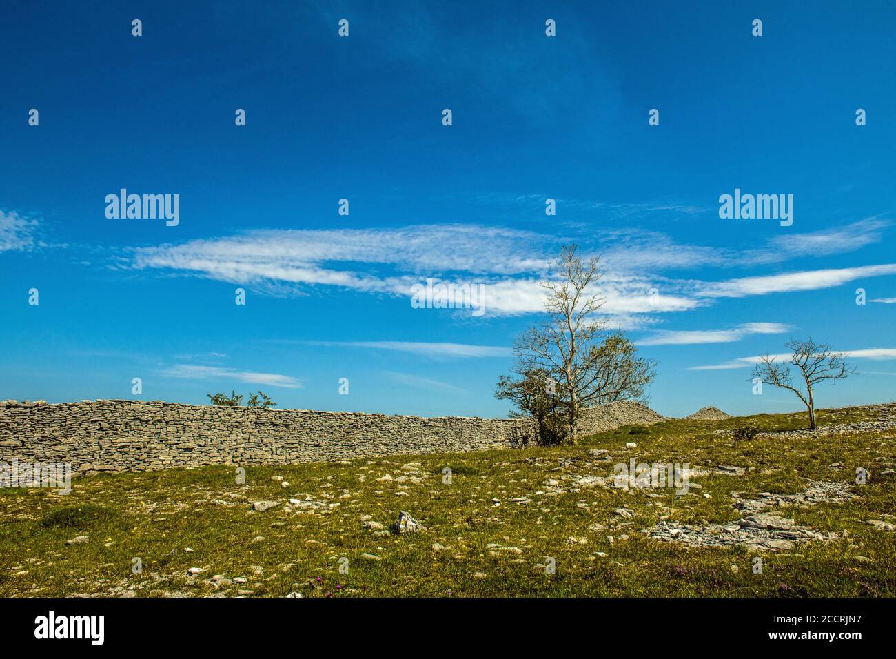 Vista sulla cima dello Scout Scar, una cresta calcarea e bordo con abbondanza di eccellenti vedute attraverso il Lake District Fells e buone passeggiate. Foto Stock