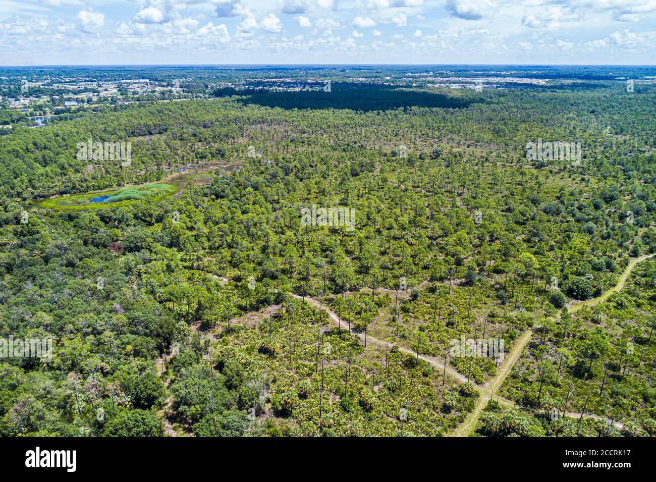 Cape Coral Florida, riserva naturale di Yellow Fever Creek, sentieri escursionistici in legno piatto di pino, vista aerea dall'alto dell'occhio di uccello, i visitatori viaggiano tr Foto Stock