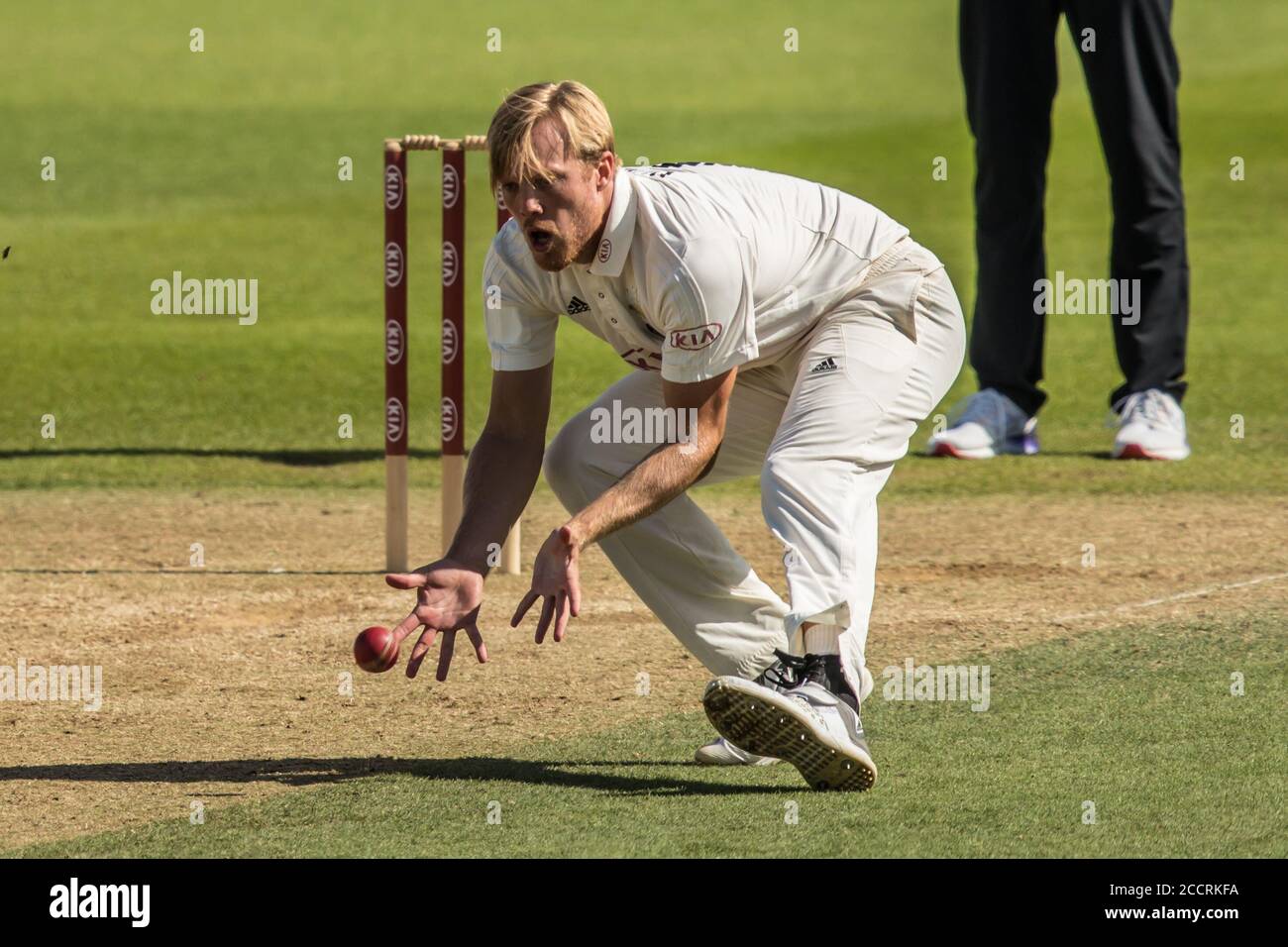 Londra, Regno Unito. 24 agosto 2020. Matthew Dunn campi del suo proprio bowling per Surrey contro Kent il terzo giorno della partita del Bob Willis Trophy all'Oval. David Rowe/Alamy Live News Foto Stock