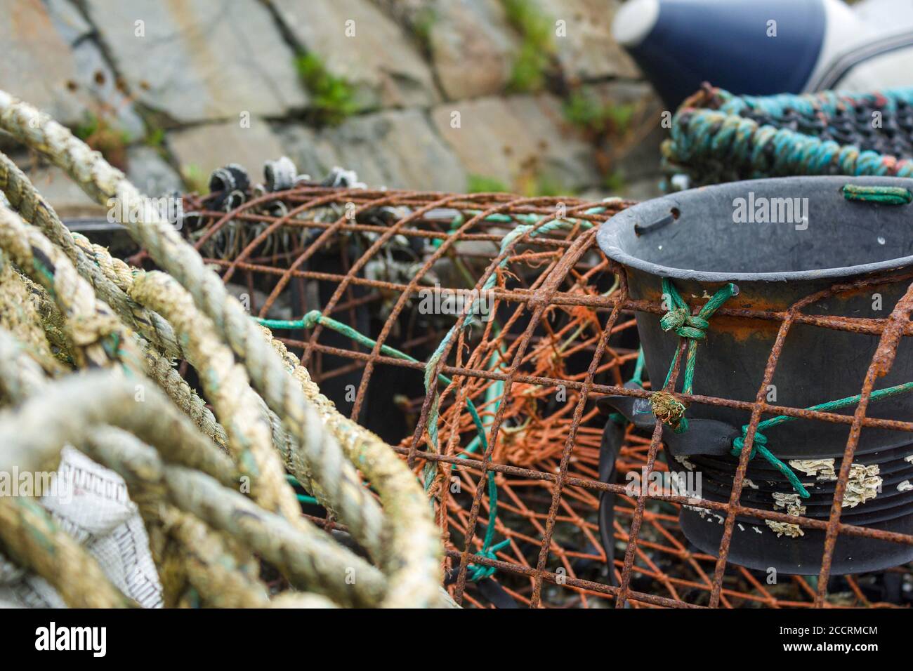 Pentole di aragosta/granchio in attesa di essere utilizzate Foto Stock
