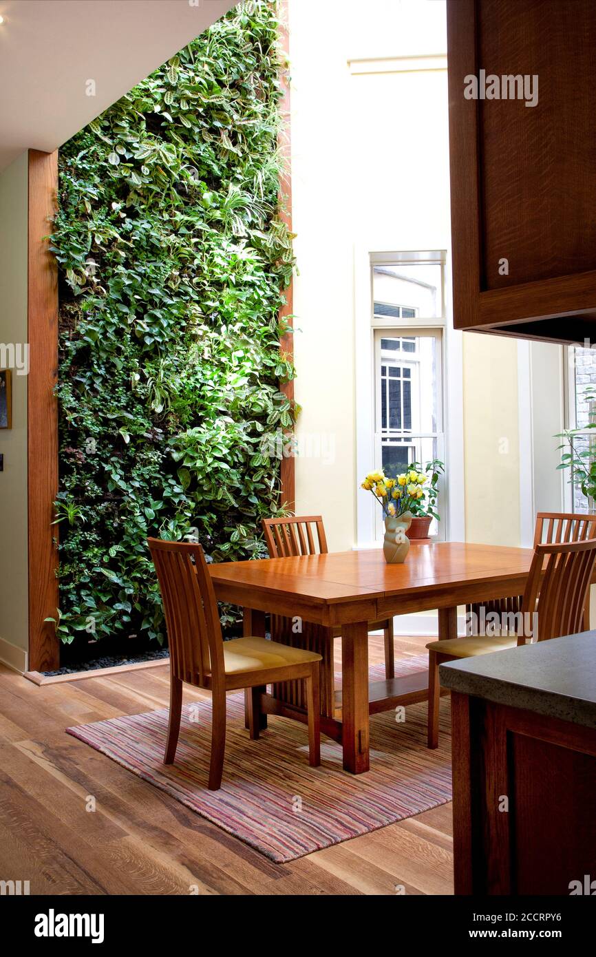 Parete verde verticale per interni Foto Stock