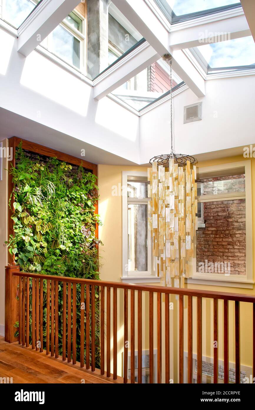 Parete verde verticale per interni Foto Stock