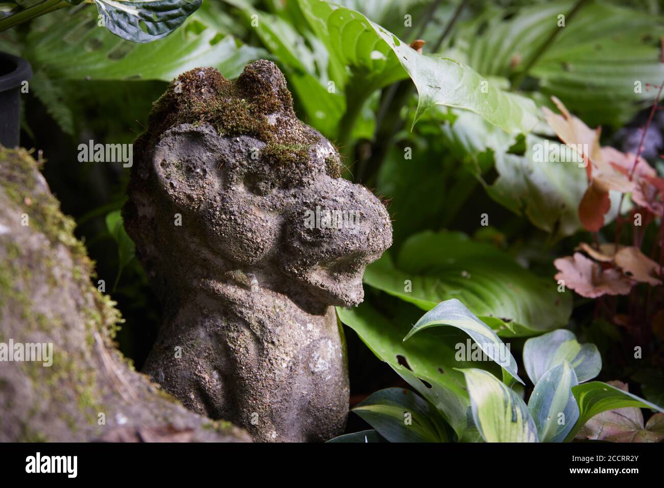 Insolita scultura in pietra nel piccolo giardino amatoriale di Nidderdale a 900ft. 08/08/2020 Foto Stock