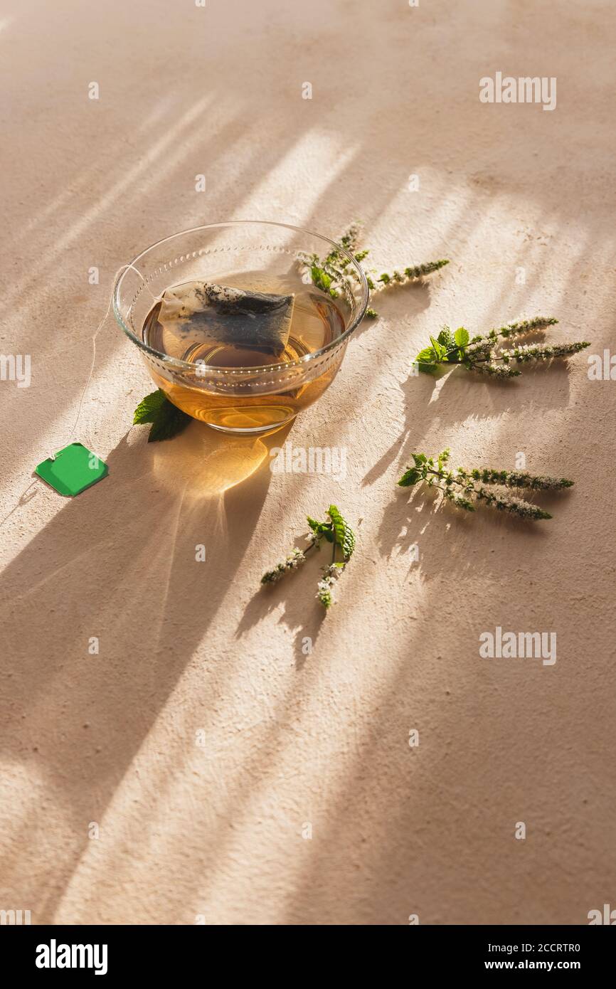 Tazza di classe di tè alla menta e fiori di piante di menta e foglie sul lato. Luce solare dorata dalla finestra su sfondo arancione chiaro. Detox tè del mattino. Foto Stock
