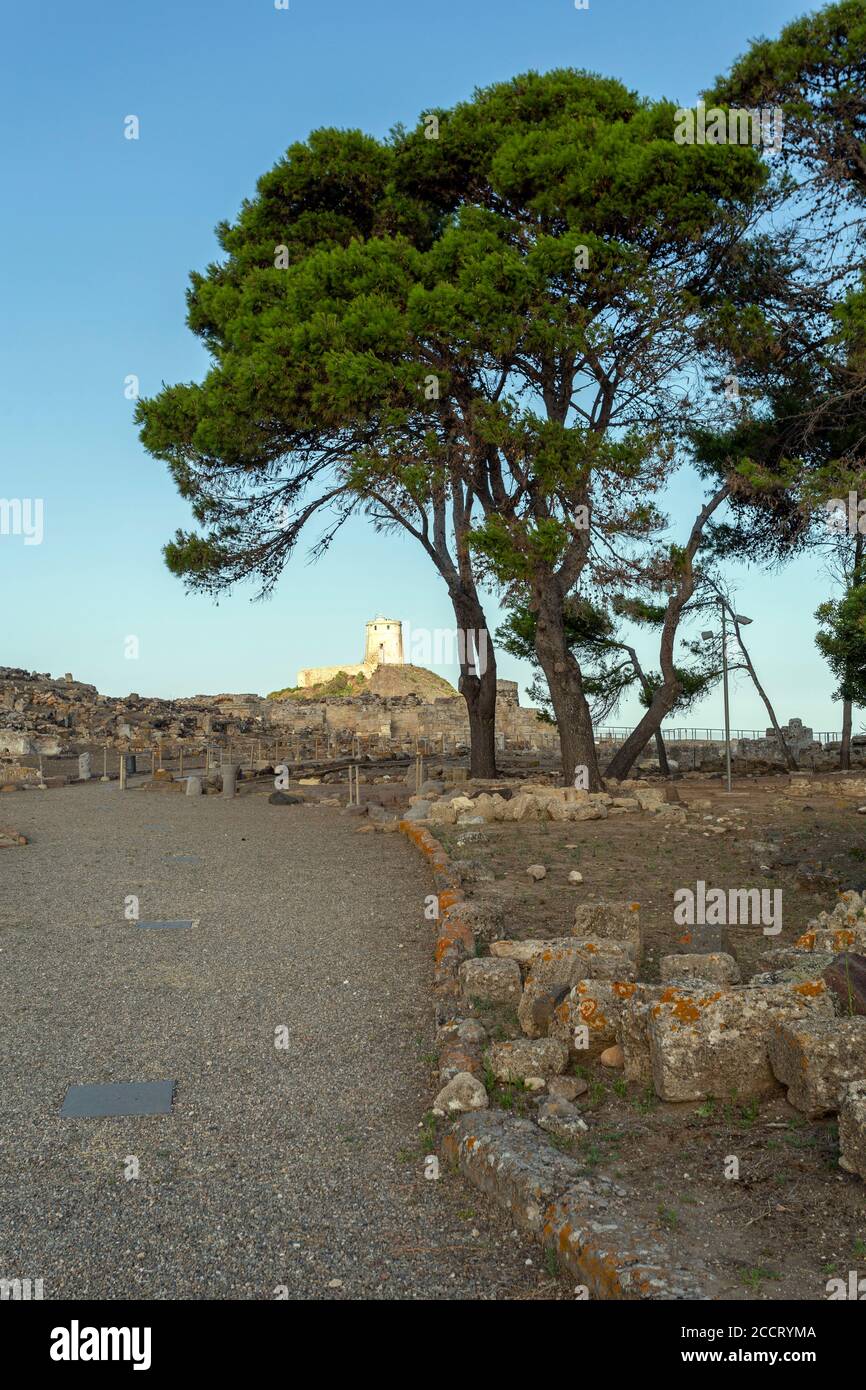 Il sito archeologico di Nora, Italia Foto Stock