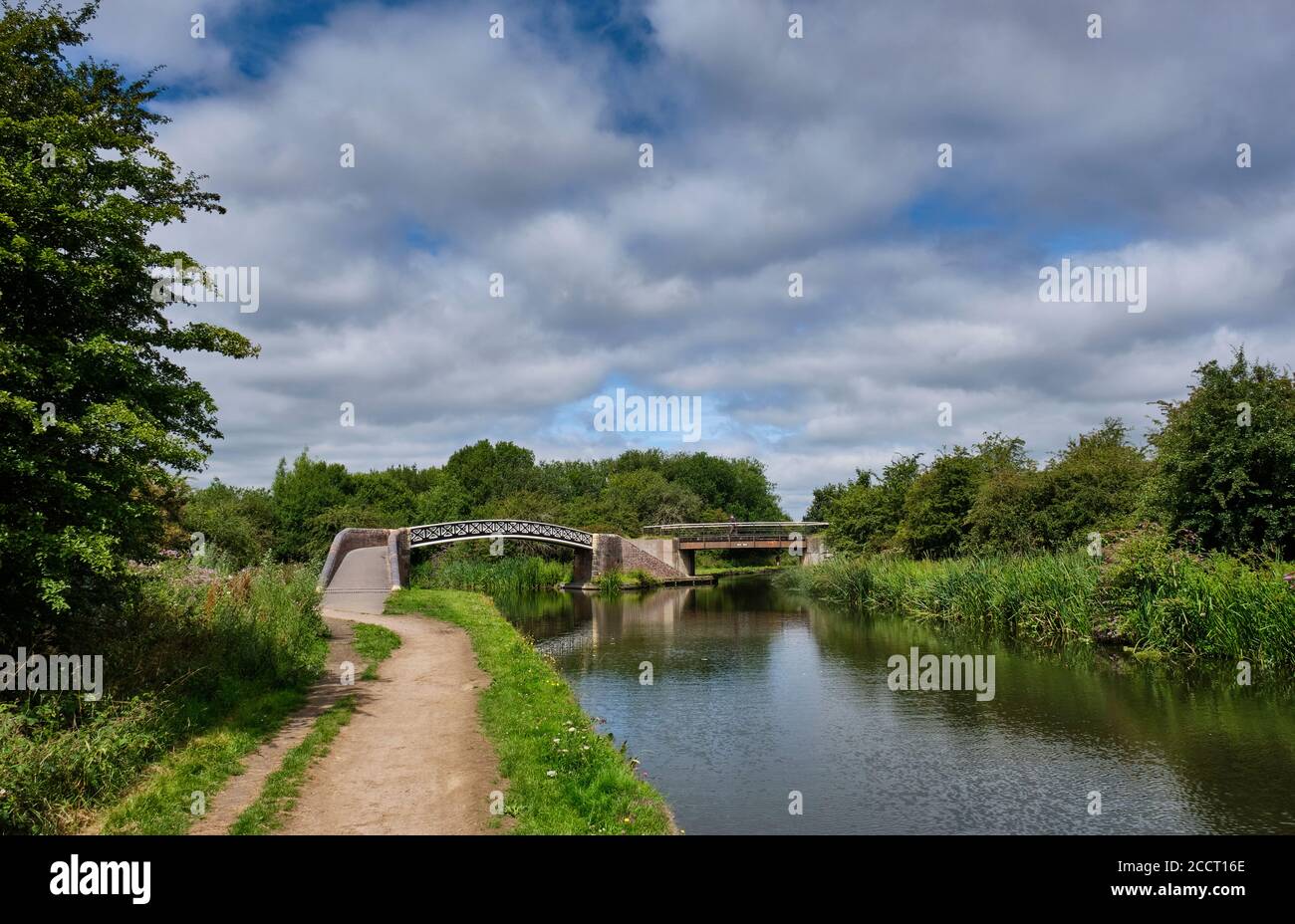 Il canale Dudley presso la riserva naturale locale di Saltbells, vicino a Merry Hill, Dudley, Black Country, West Midlands Foto Stock