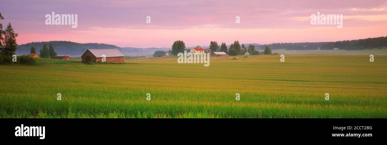 Paesaggi agricoli all'alba in Finlandia Foto Stock