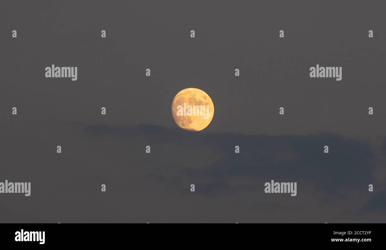 Agosto arancione luna piena che si chiama Sturgeon Luna si nasconde dietro le nuvole blu sfondo, texture. Agosto Luna, la Luna mirtillo si illumina e si illumina Foto Stock