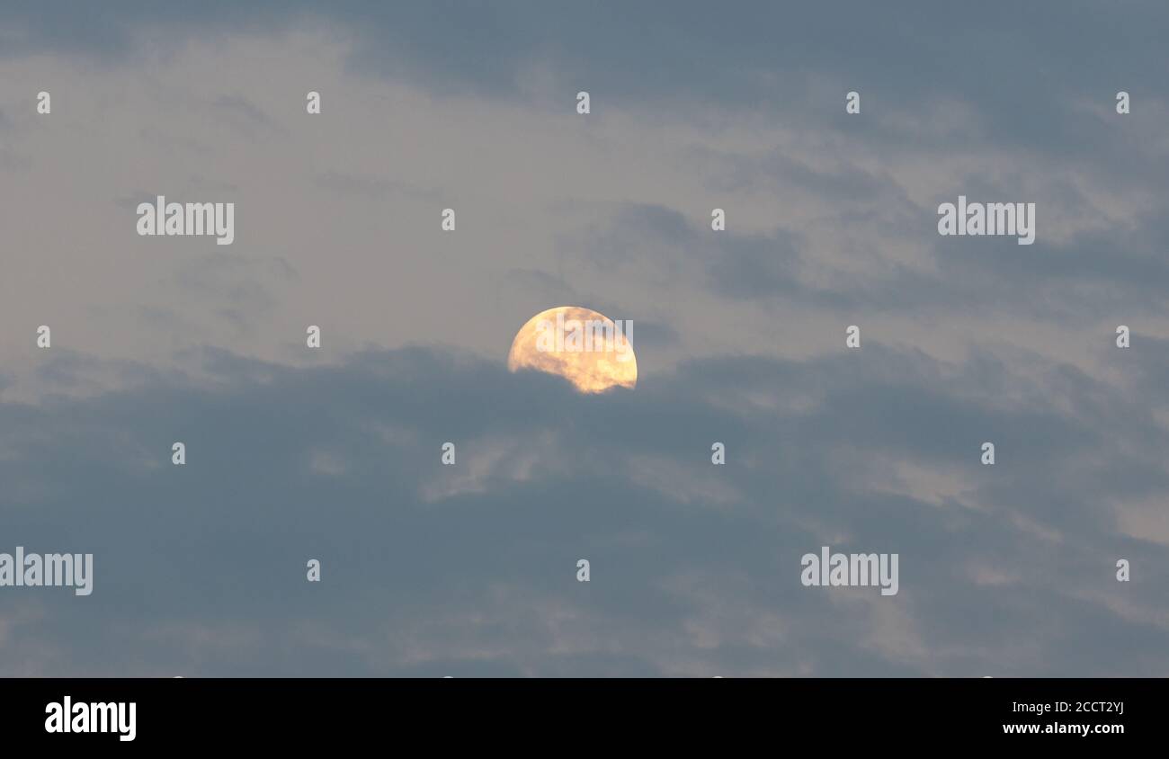 Agosto arancione luna piena che si chiama Sturgeon Luna si nasconde dietro le nuvole blu sfondo, texture. Agosto Luna, la Luna mirtillo si illumina e si illumina Foto Stock