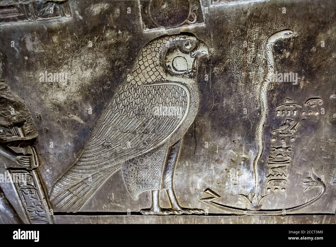 Scultura in pietra calcarea del dio Harsomptus come falco nella cripta del Tempio di Hathor Foto Stock