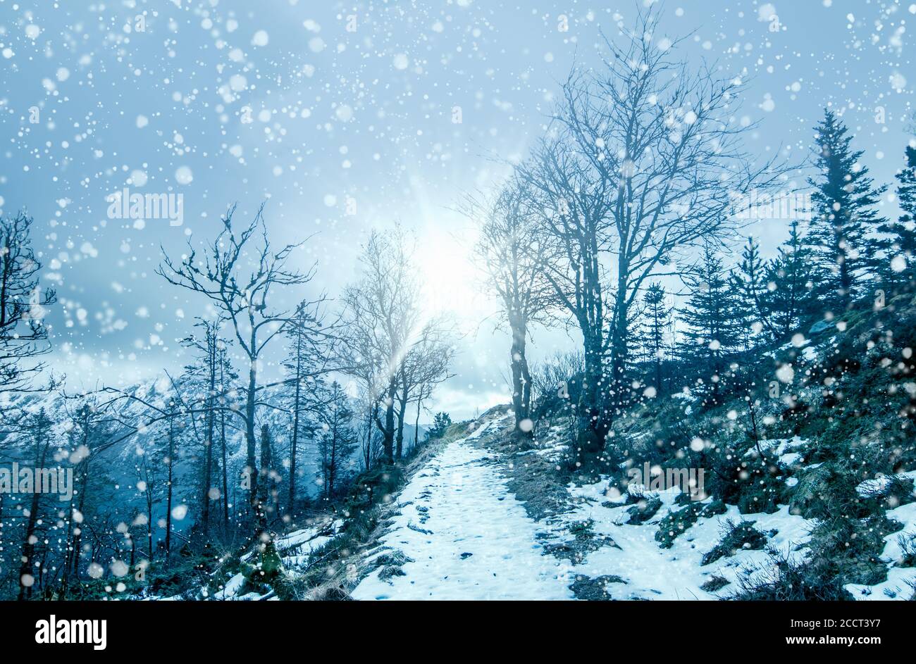 Inverno neve paesaggio. Monte Floyen, Bergen, Norvegia. Foto Stock