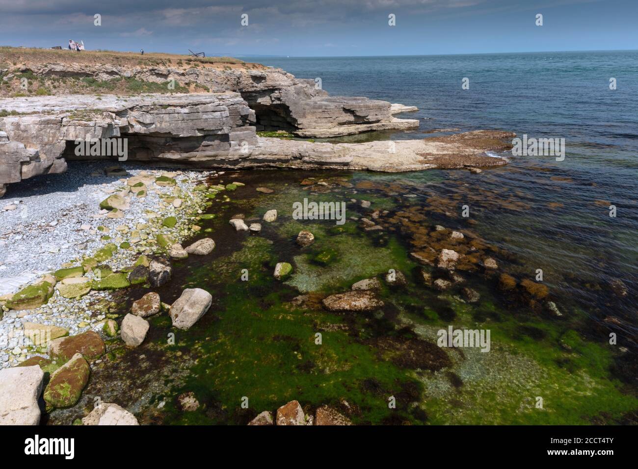 La costa orientale dell'isola di Portland, composta da rocce calcaree di Portland. Dorset. Foto Stock