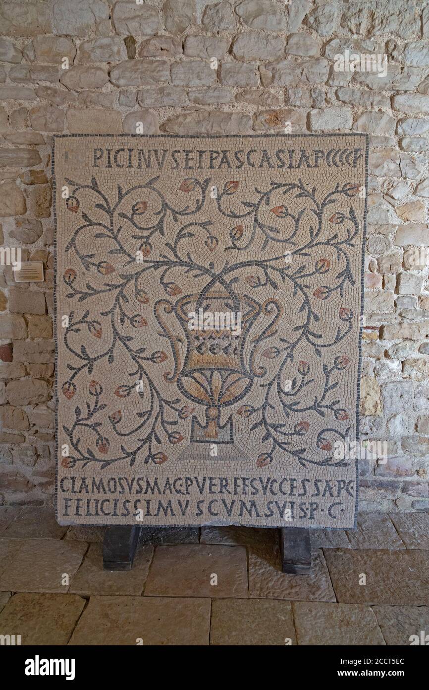 Mosaico, Basilica Eufrasiana, patrimonio mondiale dell'UNESCO, Parenzo, Istria, Croazia Foto Stock