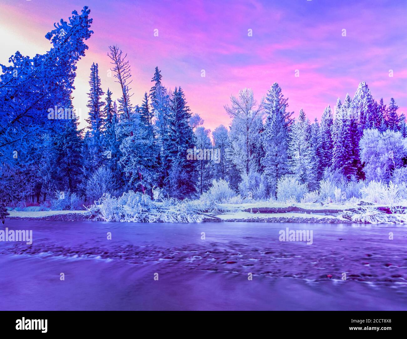 inverno alba e alberi ghiacciati lungo il nord fork blackfoot fiume vicino ovando, montana Foto Stock