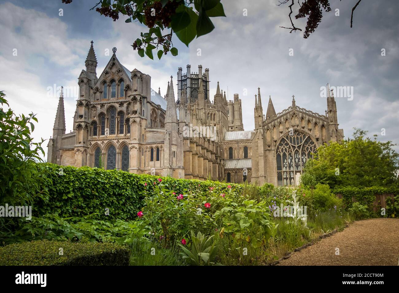 Ely Cathedral from the Almonry in Sunny Day Foto Stock