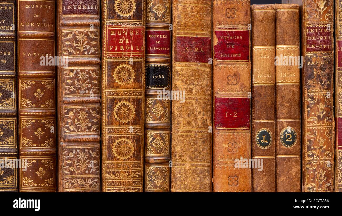Fila di libri antichi con tipici legature in pelle del 18 ° secolo. Lingua francese Foto Stock