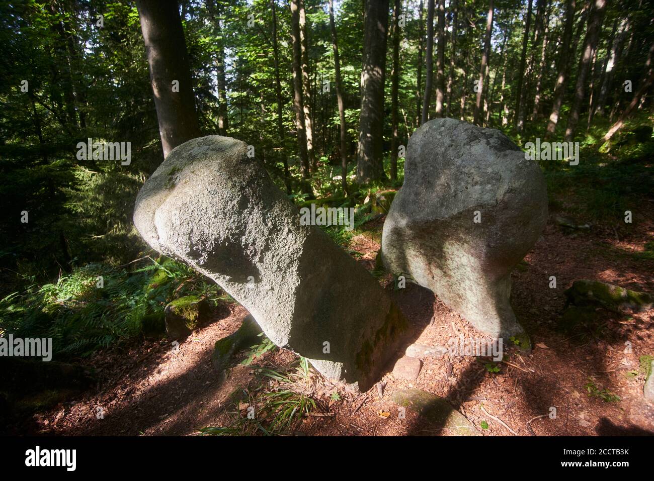Antico menhir nascosto nei boschi di Javornik montagna, Repubblica Ceca Foto Stock