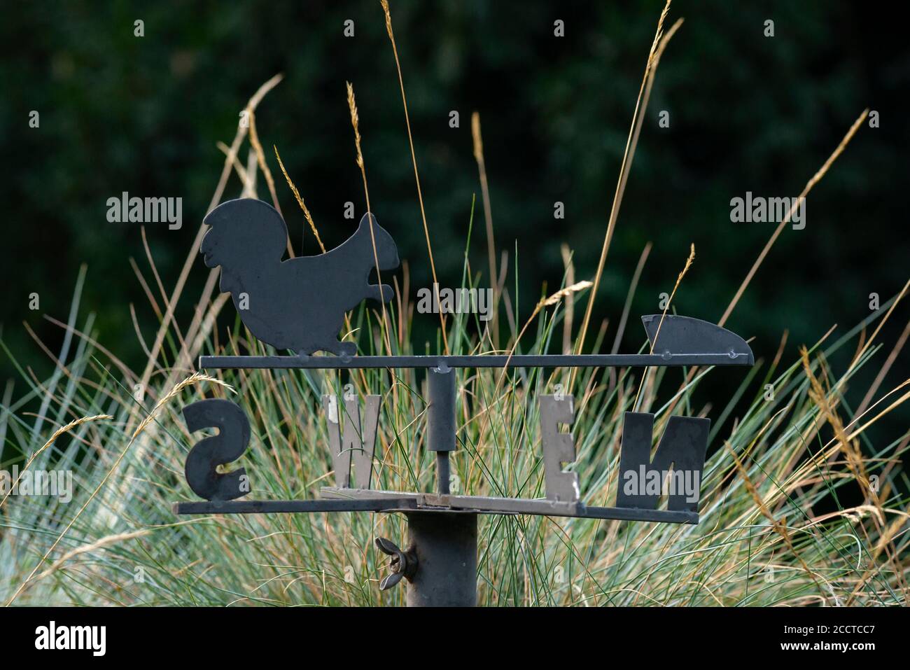 Ornamento vintage scoiattolo di metallo weathervane come giardino decorazione Foto Stock