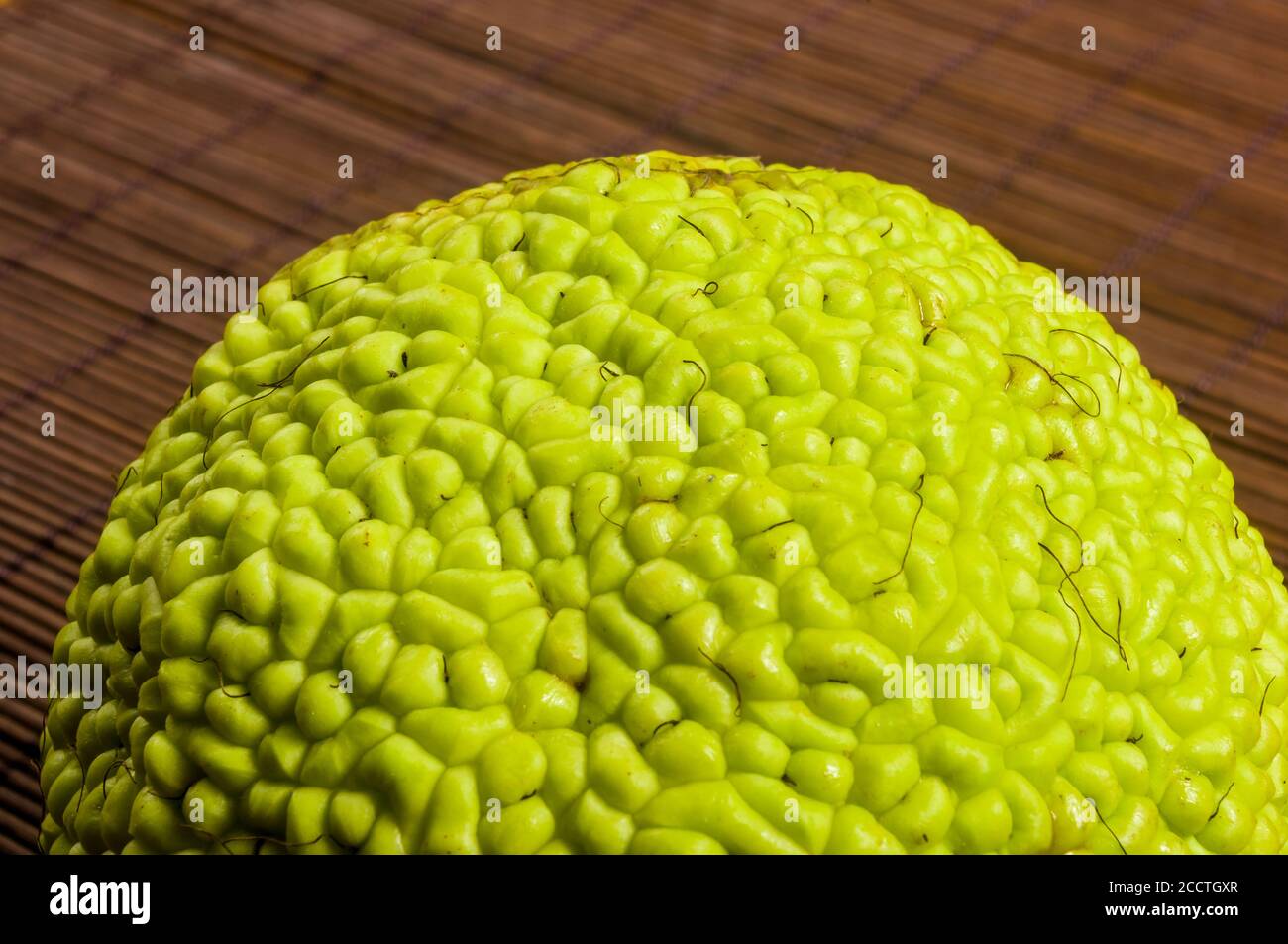 Frutta verde di maclura pomifera, arancio di oseta, mela di cavallo, mela di adamo crescono su stuoia di bambù Foto Stock