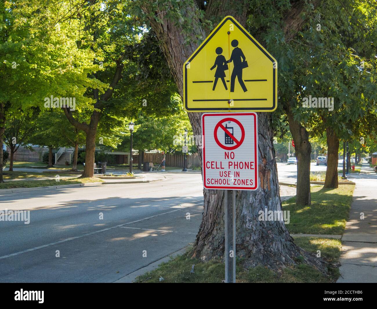 Attraversamento della scuola e nessun uso di cellulari nei cartelli stradali della zona scolastica. Forest Park, Illinois. Foto Stock