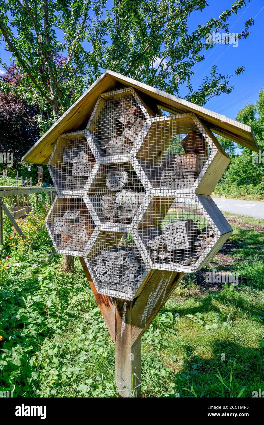 Mason Bee Hotel, Arbutus Greenway, Kitsilano, Vancouver, British Columbia, Canada Foto Stock