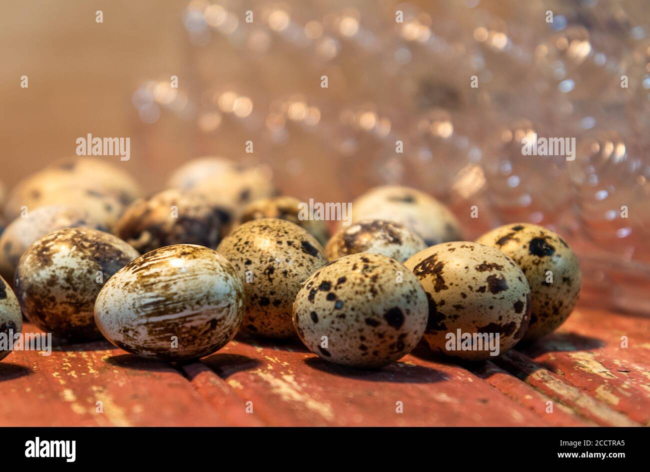 Uova di quaglia. Delicatezza culinaria. Cibo afrodisiaco. Nella cucina giapponese, a volte sono usati crudi o cotti come tamago in sushi e sono spesso trovati a. Foto Stock