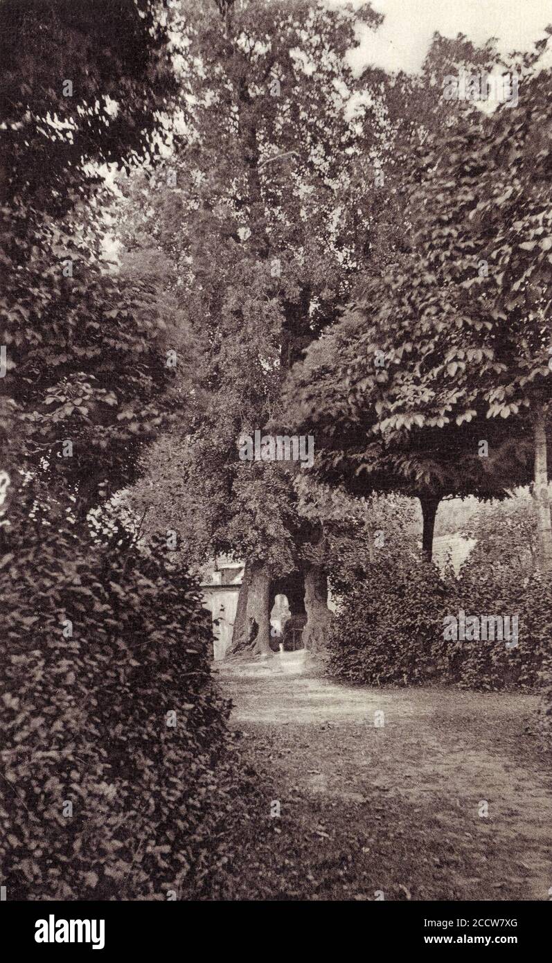 Jiřice, lípa Jana Želivského, 1920-1930. Foto Stock