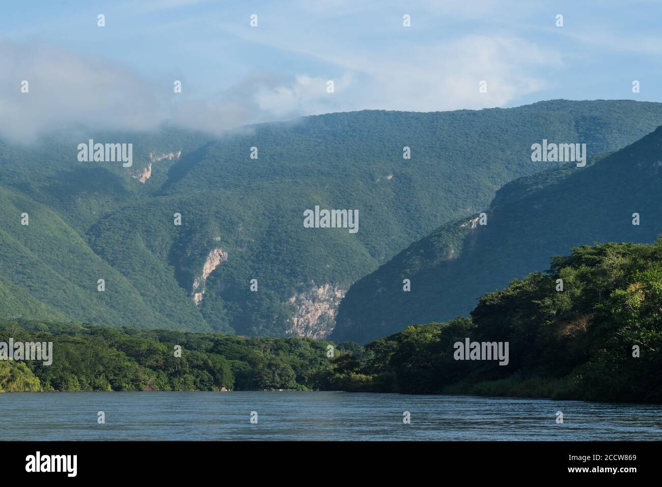 Mattina presto sul fiume Grijalva nel Parco Nazionale del Canyon di Sumidero, Chiapas, Messico. Foto Stock