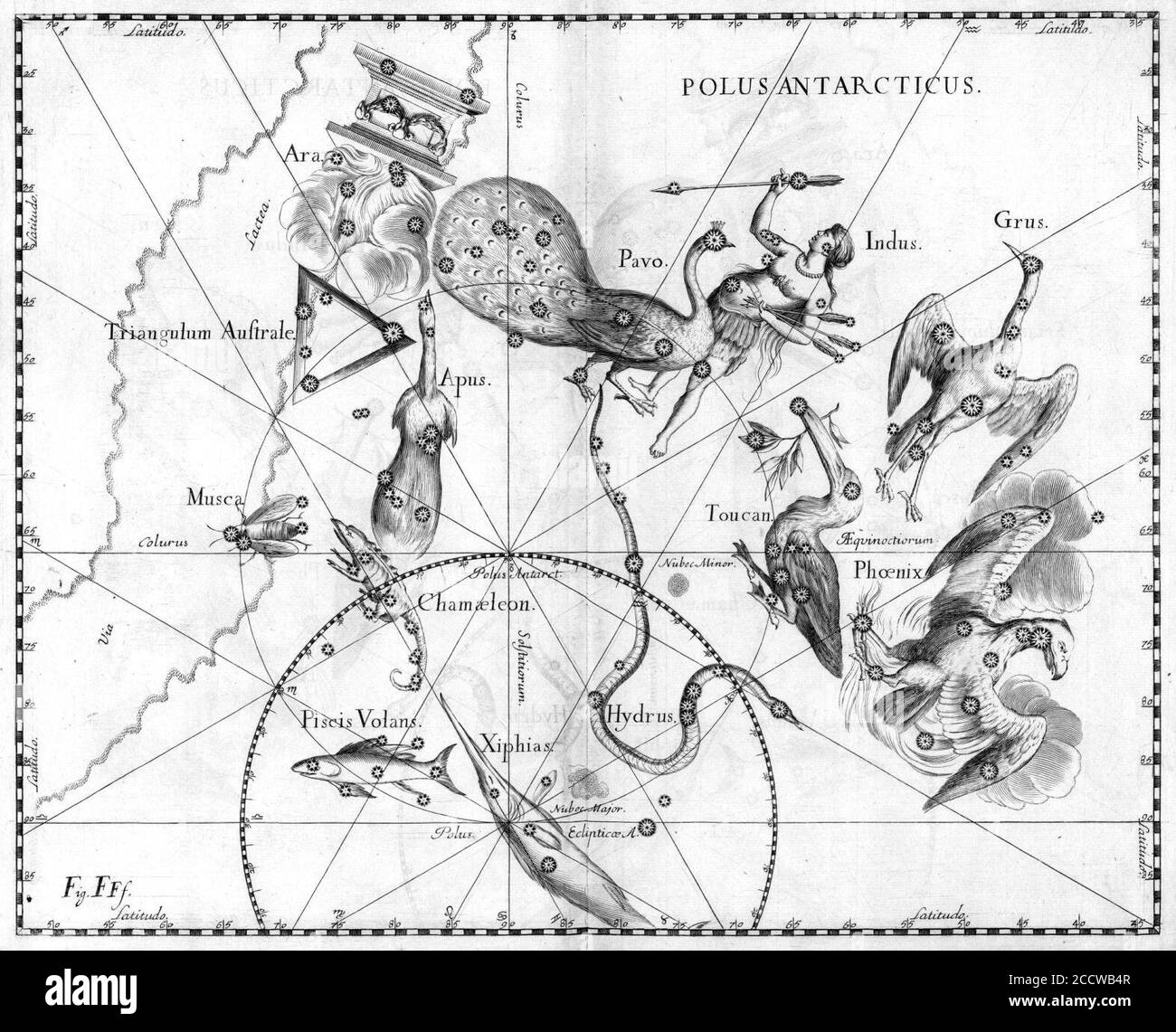Johannes Hevelius - Prodromus Astronomia - Volume III ‘Firmamentum Sobiescianum, sive uranographia‘ - Tavola FFF - Polus Antarticus. Foto Stock