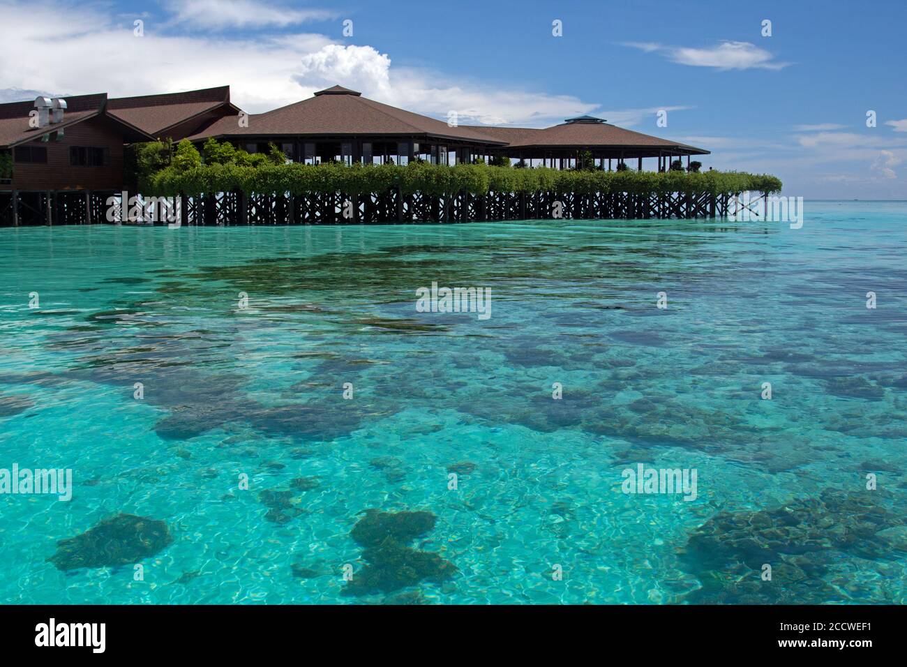 Barriera corallina poco profonda intorno al Kapalai Dive Resort, Sipadan, Malesia Foto Stock